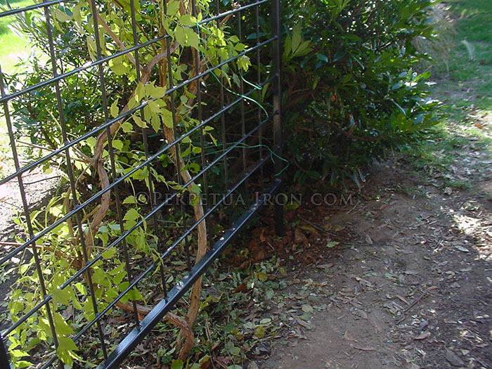 Detail of trellis 2, where is meets the ground.