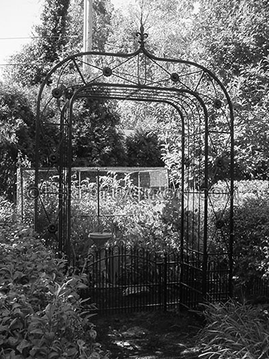 Large wrought iron arch and gate for garden enclosure.
